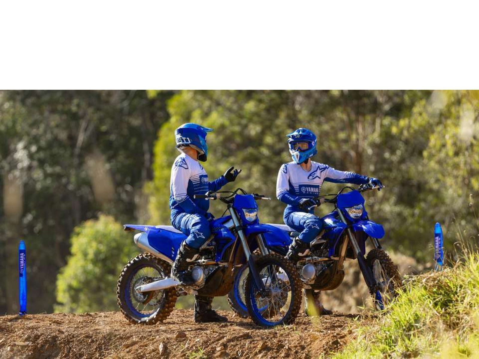 Мотоцикл YAMAHA WR250F (Icon Blue) 2024